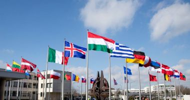 Stire din Actualitate : NATO, propusă la premiul Nobel pentru Pace