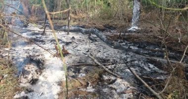 Stire din Eveniment : NATO: Nu sunt indicii că resturile de drone de provenienţă rusească găsite în România dovedesc un atac intenţionat