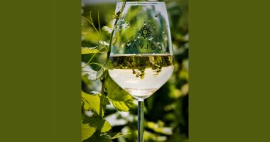 Savurează vinurile Navigo și descoperă terroir-ul unic al Dobrogei - 3