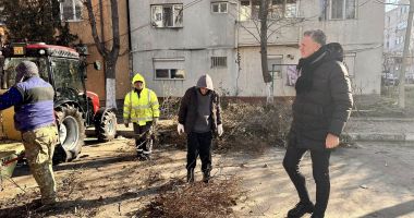 Stire din Politică-Administrație : Primăria Năvodari amenajează spaţiile verzi din localitate