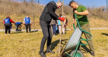 Stire din Politică-Administrație : Primăria Năvodari a contribuit la plantarea a peste 7.000 de arbori în localitate