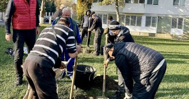 Stire din Politică-Administrație : Edilul Florin Chelaru: „Ne dorim un oraș tot mai verde”