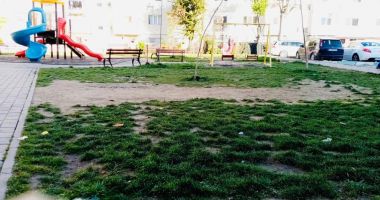 Stire din Politică-Administrație : Primăria Năvodari continuă să amenajeze spaţiile verzi şi locurile de joacă