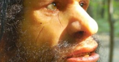 Test / Ești un Neanderthal?