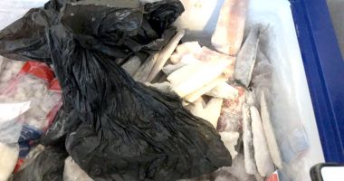 Stire din Social : Nereguli grave! De patru ori mai multe unități alimentare închise de OPC, vara aceasta, față de anul trecut