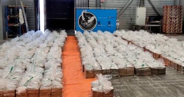 Captură record de 8.000 de kilograme de cocaină în portul din Rotterdam