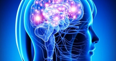Stire din Sănătate : Măcinați  de blestemul bolilor neurologice