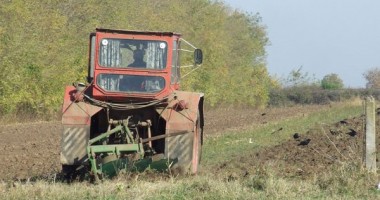Stire din Economie : Vești bune pentru fermierii constănțeni. Au de primit 40 milioane de euro