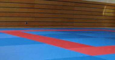Stire din Sport : Nici LPS, nici Szemerjai, nici judo-ul constănțean nu merită mizerii!