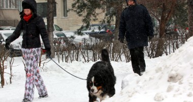 Stire din Social : Ninsori slabe și maxime de -6 grade Celsius, astăzi, la Constanța