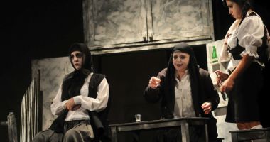 "Niște năroji" ajung la Teatrul de Stat din Constanța - 3
