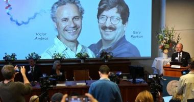 Stire din Actualitate : Descoperirea microARN-ului, recompensată cu premiul Nobel pentru Medicină