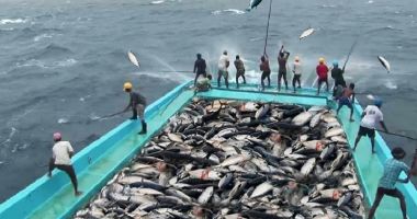 Stire din Economie : Noi cote de pescuit în Marea Mediterană și Marea Neagră, pentru anul 2022