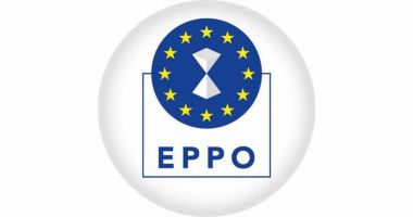 Stire din Actualitate : Noi posturi pentru structura de sprijin a procurorilor europeni delegați în România