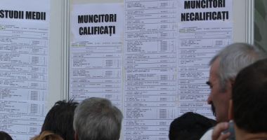 Stire din Social : Noi programe de formare profesională pentru șomeri
