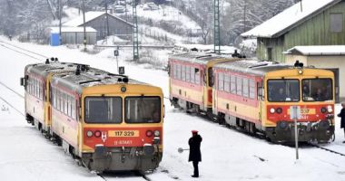 Un an de închisoare cu executare, după ce a mers cu trenul fără bilet