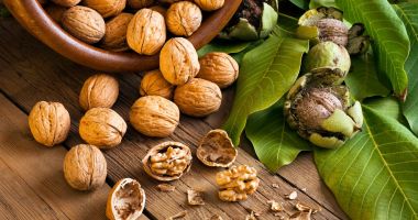 Nucile, alimentele ce pot încetini declinul cognitiv la vârstnici