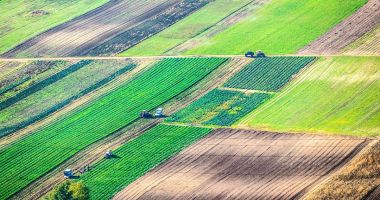 Stire din Economie : Terenurile agricole, vândute mai greu străinilor. „Nu este uşor să te baţi cu ei”