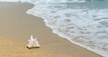 Stire din Actualitate : Unul dintre cei mai bogaţi români, căsătorie pe „lux şi opulenţă” pe o plajă din Maldive