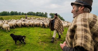 Nu subestima niciodată ciobanul român