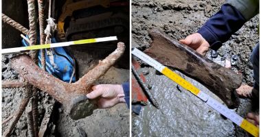 Descoperire incredibilă la metroul din Bruxelles. Mai multe oase aparținând unor animale preistorice au ieșit la iveală - 2