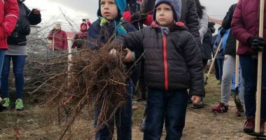 Oază de verdeață la Eforie Nord. Voluntarii au plantat 5.000 de puieți - 3