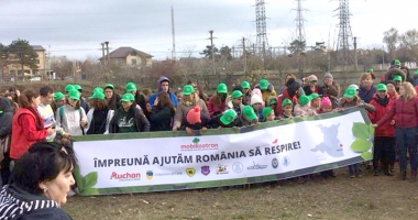 Stire din Social : Oază de verdeață la Eforie Nord. Voluntarii au plantat 5.000 de puieți