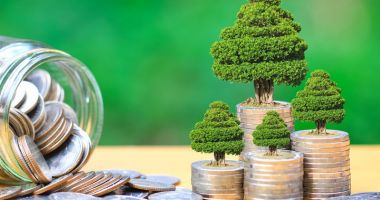 Stire din Economie : Obligațiunile verzi emise de Raiffeisen Bank intră astăzi la tranzacționare
