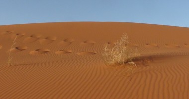 Oceanic Club. S-a încheiat Expediția Merzouga 2013 - 2