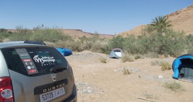 Biologii constănțeni s-au întors din expediția în Africa - 2