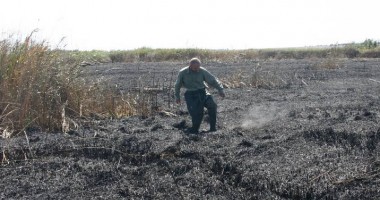 Stire din Social : Doi bărbați din zona Vadu, văzuți că întrețineau focul la stuf