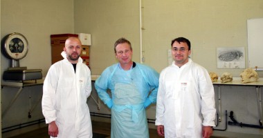 Stire din Social : Studenții francezi cercetează  delfinii din Marea Neagră