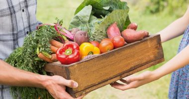 Stire din Economie : O directivă UE în dezavantajul producătorilor agricoli. Apelul Federației Naționale PRO AGRO
