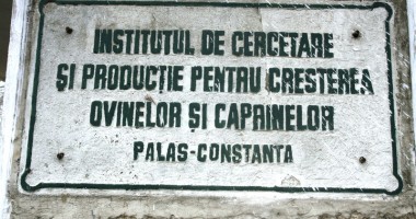 Cei ce se încăpățânează să țină aprinsă flacăra științei - 3