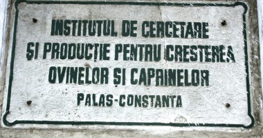 Oieria Palas înghite, cu noduri, trei stațiuni de cercetare / Foto - 4
