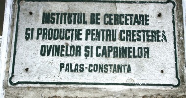 Stire din Economie : Reorganizarea Oieriei Palas, repusă pe tapet