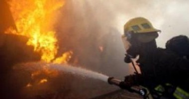 Zeci de animale salvate dintr-un incendiu în satul Negrești