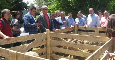 Oile crescătorilor din Dobrogea au intrat în atenția francezilor - 3