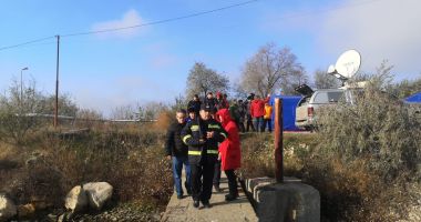 Stire din Eveniment : Ovinele salvate de pe nava răsturnată la Midia, protejate. "Nu vor fi duse la abator!"