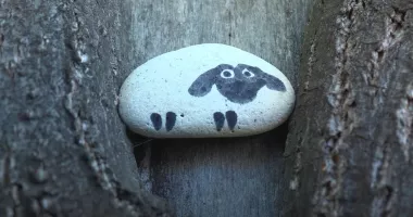 Stire din Social : Enigma pietrelor pictate, rezolvată! Iată cine este artistul și care este mesajul
