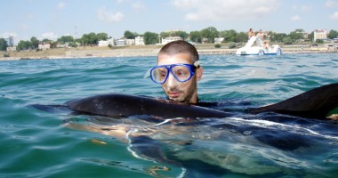 Stire din Social : "O mare liberă pentru delfini!"