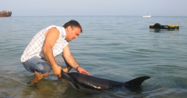 "O mare liberă pentru delfini!" - 5