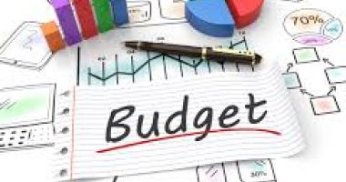 Omisiune grosolană în proiectul de buget