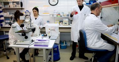 Stire din Actualitate : OMS aprobă vaccinul anti-malarie pentru Africa