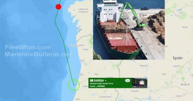 O navă a pierdut 200 de bușteni de eucalipt în Atlantic