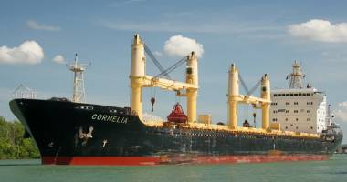 Stire din Economie : O navă cu cereale a fost reținută de Garda de Coastă a SUA