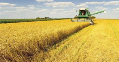 Stire din Economie : O nouă concentrare de piață autorizată de Consiliul Concurenței