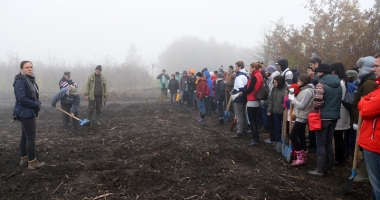 Pădurea oamenilor întreprinzători.  20.000 de stejari brumării plantați de voluntari - 3