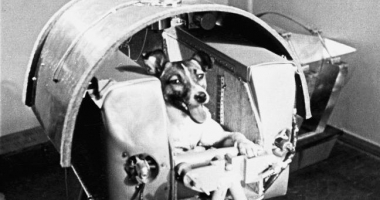 GALERIE FOTO / Cățelușa Laika, comemorată la 60 de ani după ce a fost trimisă în spațiu - 2