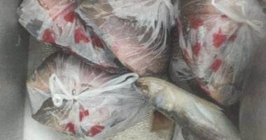 Galerie foto. Pește stricat și cârnați expirați, serviți turiștilor de pe litoral - 7